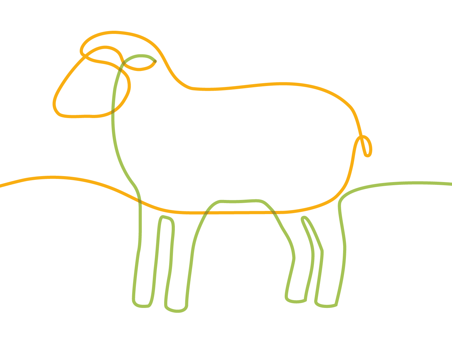 Immanuel Albertinen Diakonie - Frühlingsgruß