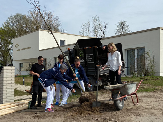 Mitarbeitende des Diakonie Hospiz Woltersdorf pflanzen einen der neuen Bäume, Nachrichten, Diakonie Hospiz Woltersdorf Mitarbeitende des Diakonie Hospiz Woltersdorf pflanzen einen der neuen Bäume, Nachrichten, Diakonie Hospiz Woltersdorf