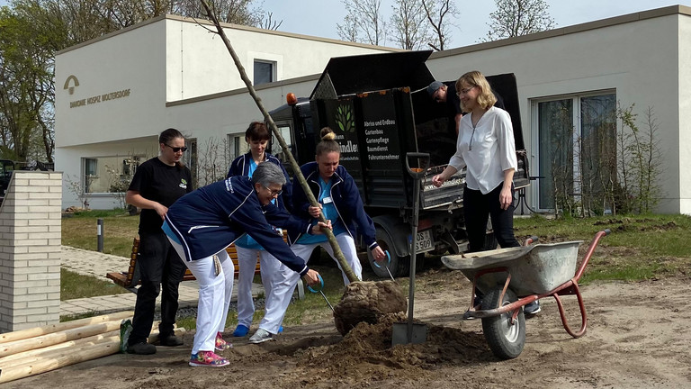 Mitarbeitende des Diakonie Hospiz Woltersdorf pflanzen einen der neuen Bäume, Nachrichten, Diakonie Hospiz Woltersdorf Mitarbeitende des Diakonie Hospiz Woltersdorf pflanzen einen der neuen Bäume, Nachrichten, Diakonie Hospiz Woltersdorf