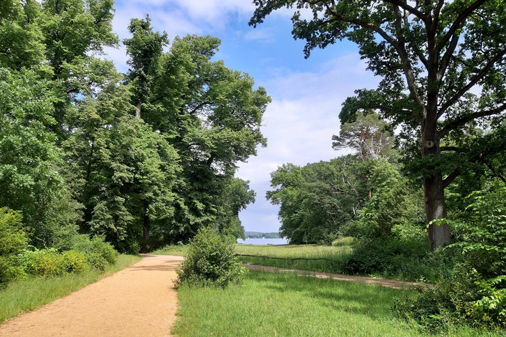 Gehweg umrahmt von Bäumen und Wiesen mit Wasser im Hintergrund  - Trauerspaziergang - Diakonie Hospiz Wannsee