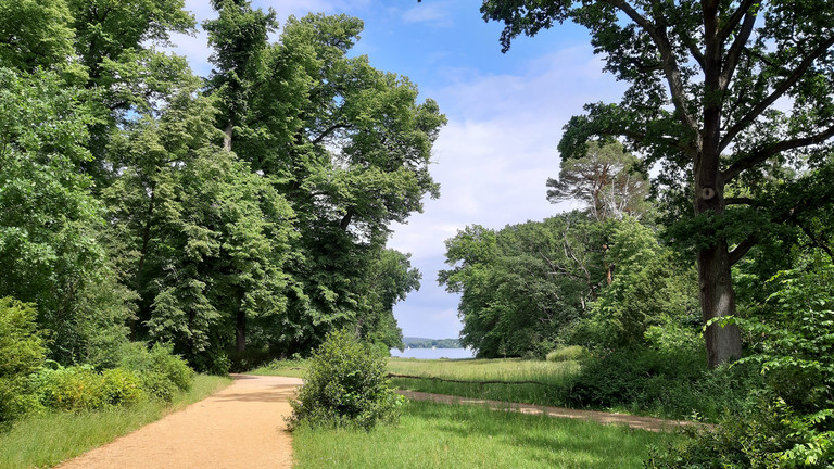Gehweg umrahmt von Bäumen und Wiesen mit Wasser im Hintergrund  - Trauerspaziergang - Diakonie Hospiz Wannsee