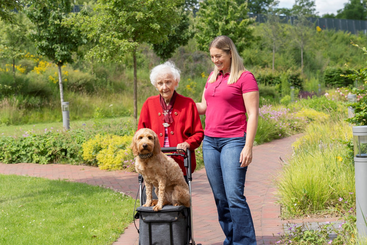 Eine Seniorin mit Rollator und Hund bei einem Spaziergang in der Natur mit einer Betreuerin