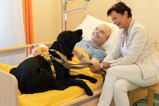 Therapiehund besucht Hospizgast - Diakonie Hospiz Wannsee