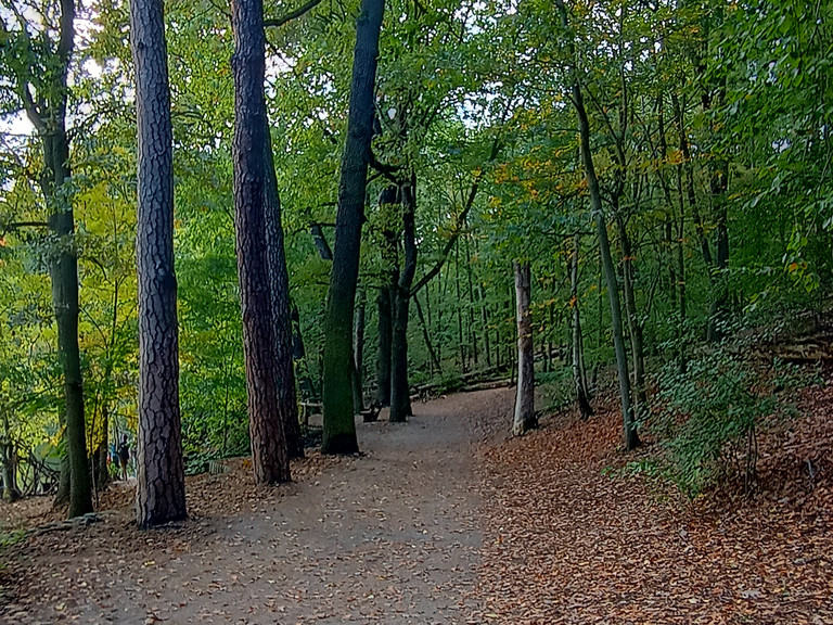 Weg entlang der Krumme Lanke in Berlin - Trauerspaziergang
